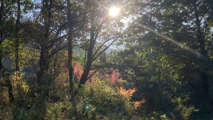 山坡的村庄茶园 ｜ 俯瞰大理的日出日落