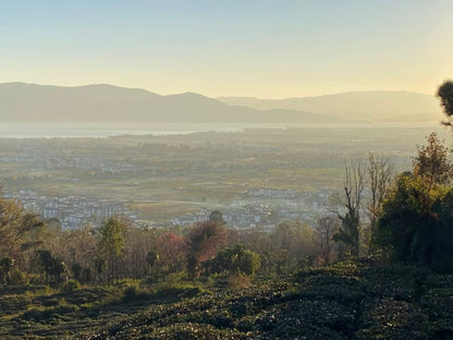 山坡的村庄茶园 ｜ 俯瞰大理的日出日落