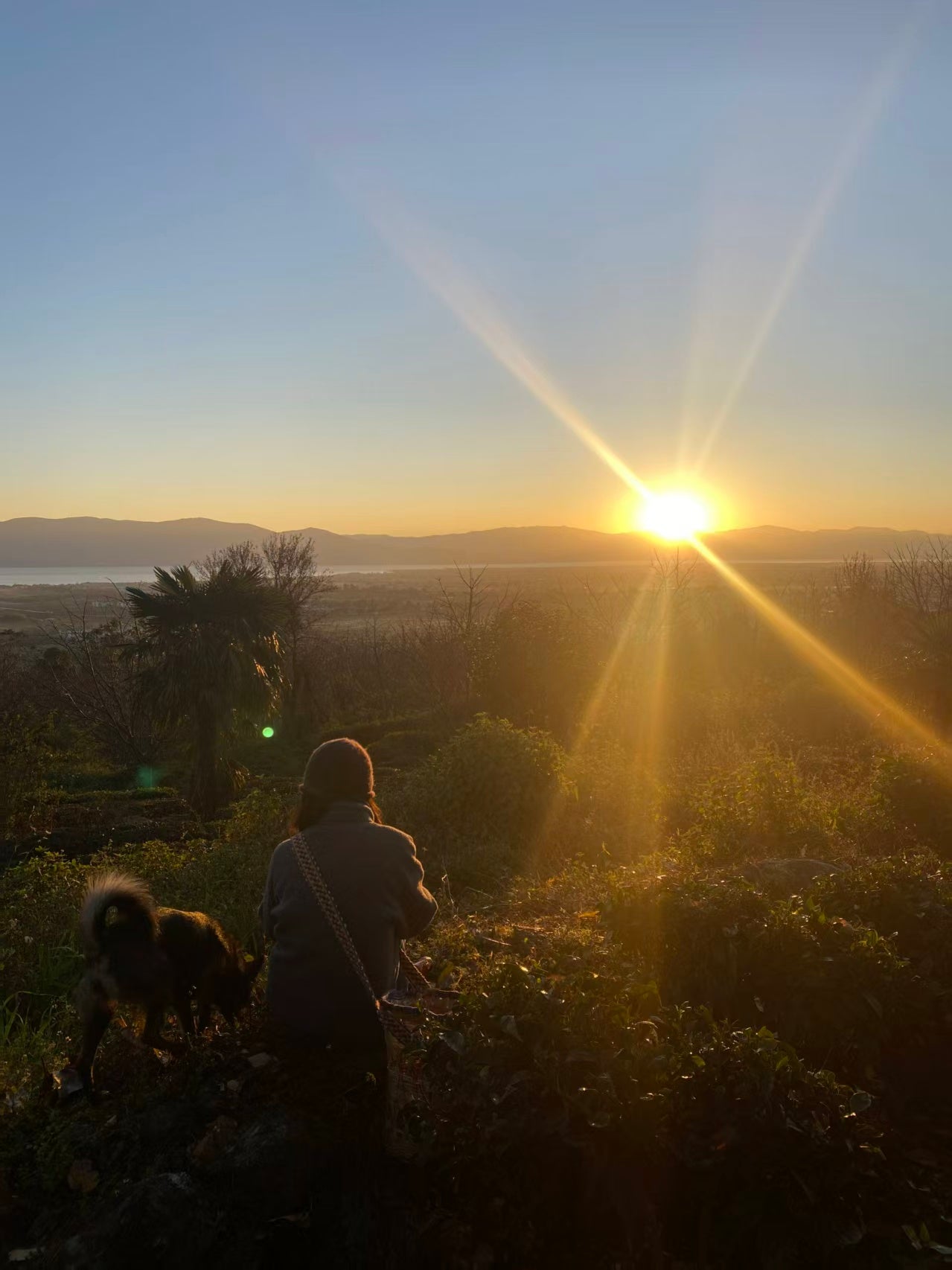 山坡的村庄茶园 ｜ 俯瞰大理的日出日落
