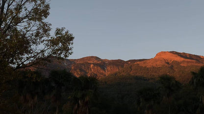 山坡的村庄茶园 ｜ 俯瞰大理的日出日落