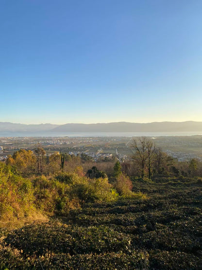 山坡的村庄茶园 ｜ 俯瞰大理的日出日落