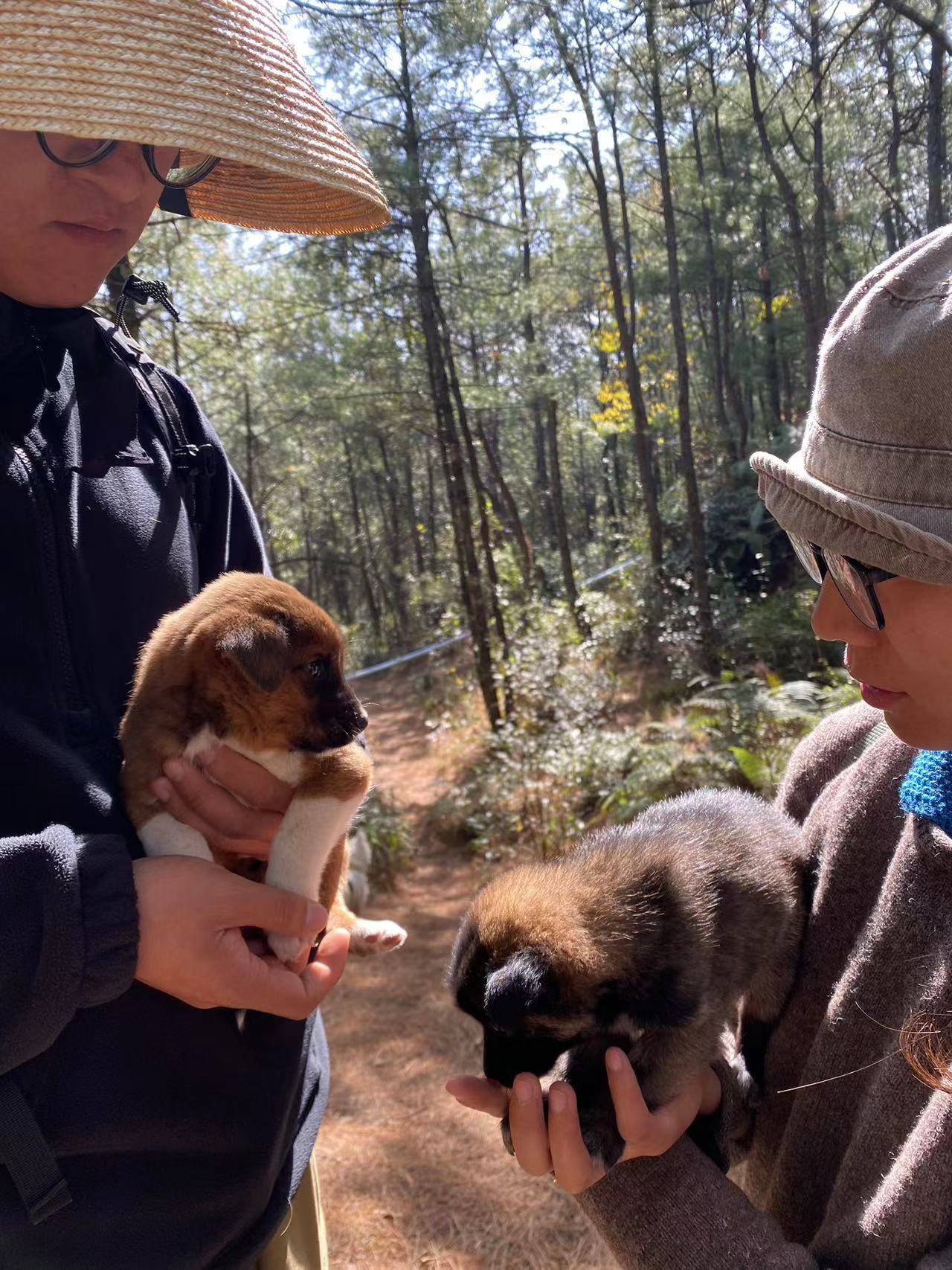 Caminata ligera por Kuosongping | Campos, arroyos y bosques