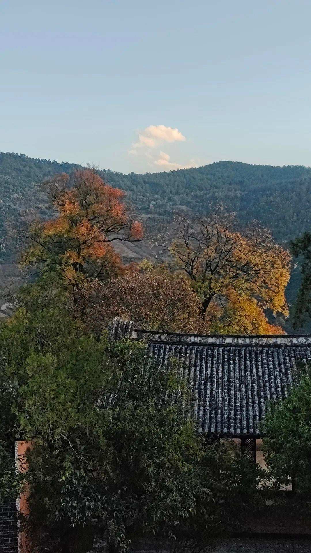 探索诺邓村：2 天的千年盐马古村之旅