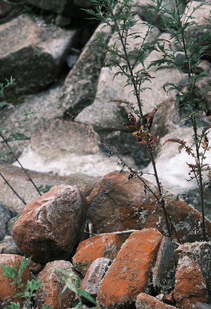 Wandern im Meixi Canyon | Tempel, Mine, Ende der Jade Belt Road (mittlere Entfernung)