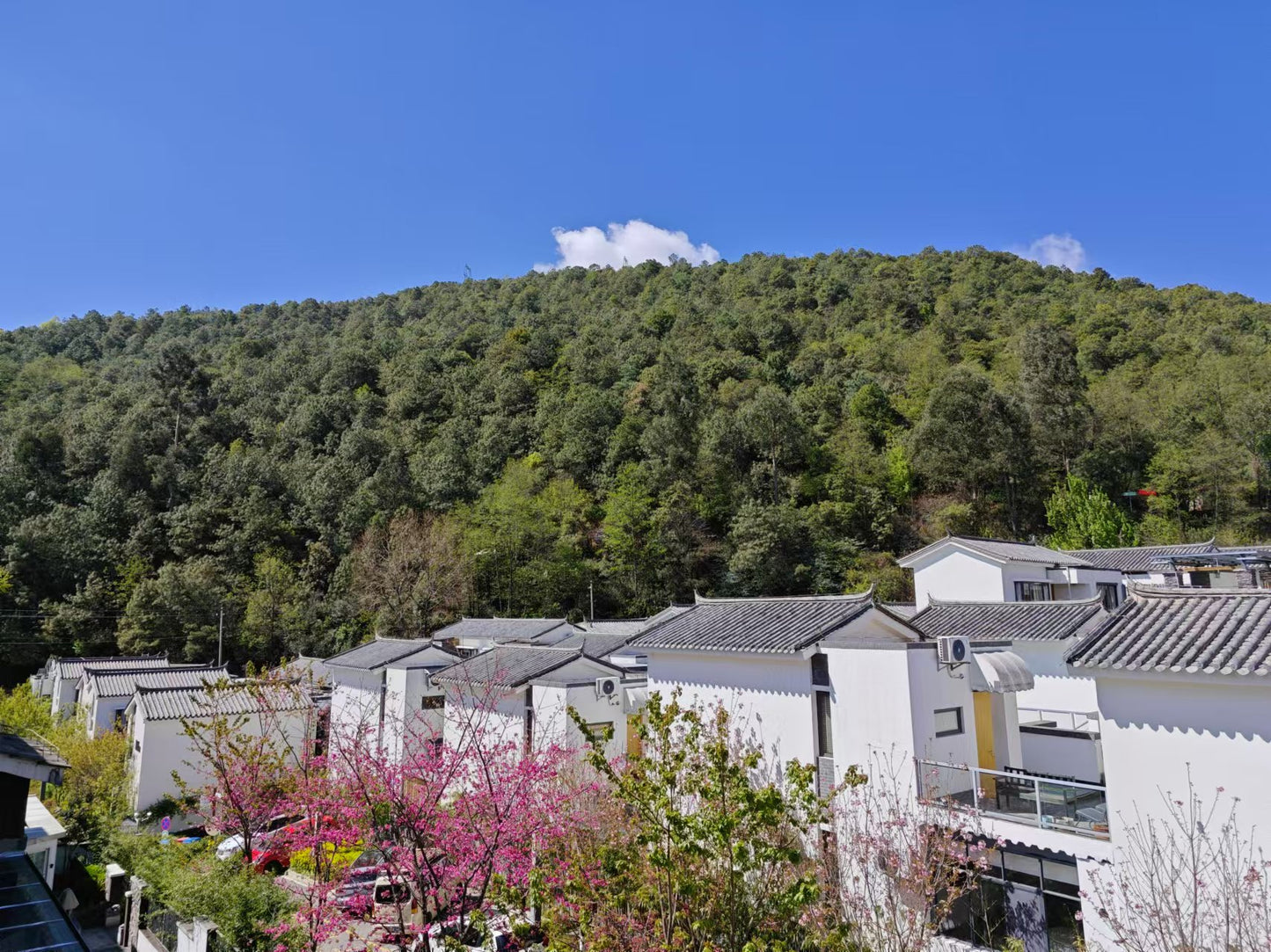 Sun Yu's B&amp;B | Deux chambres et un salon dans la zone sud de la petite cour