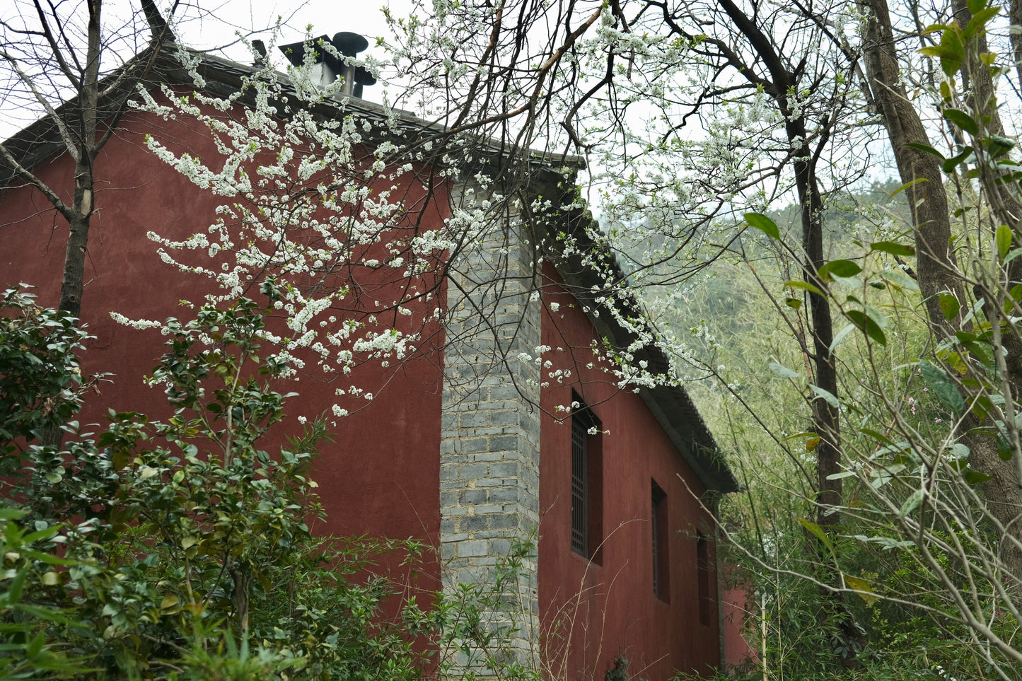 去无为寺吃斋饭｜苍山野道徒步捡松果