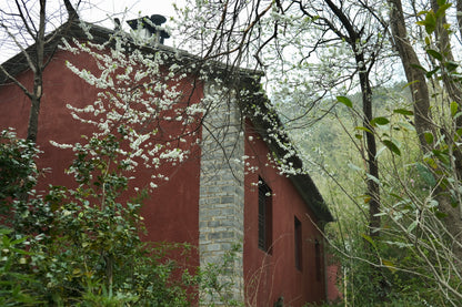 去无为寺吃斋饭｜苍山野道徒步捡松果