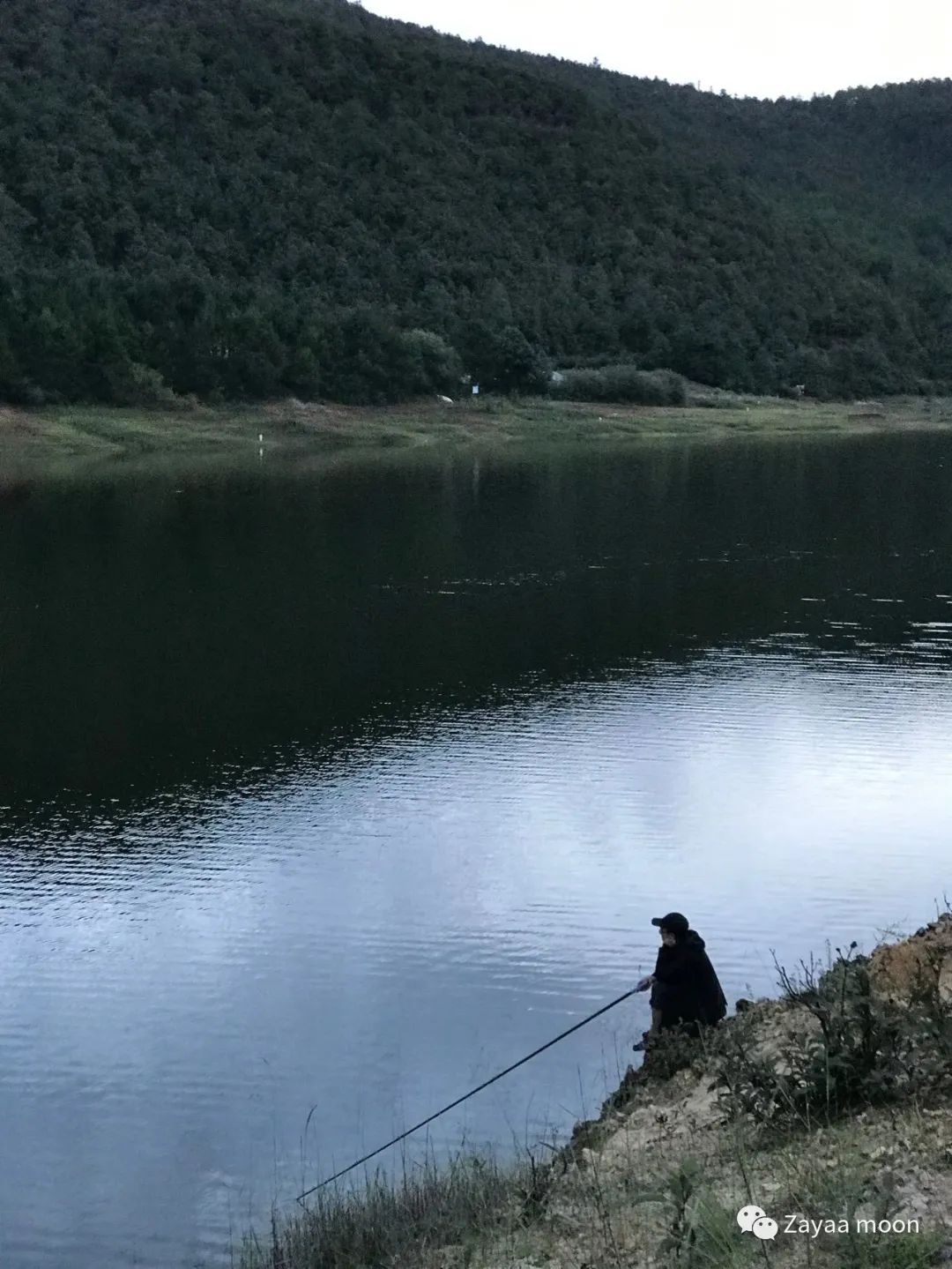 Acampada en la isla y en el bosque del lago | Embalse de Jizi