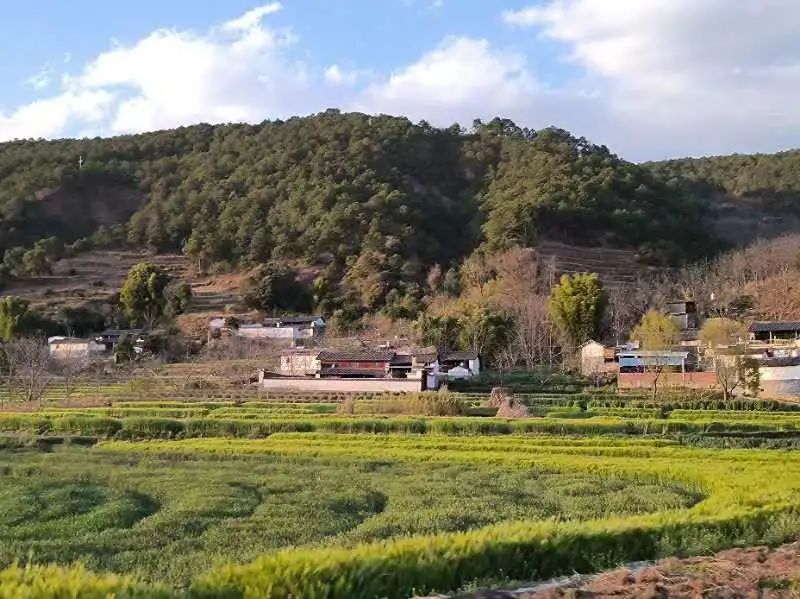 Un día en la casa de un &quot;pariente&quot; en las profundas montañas de Xipo | El otro lado de la montaña Cangshan