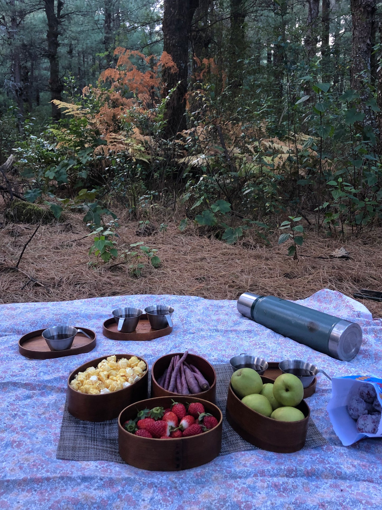 Go to Cangshan Mountain to pick pine cones and pine nuts 