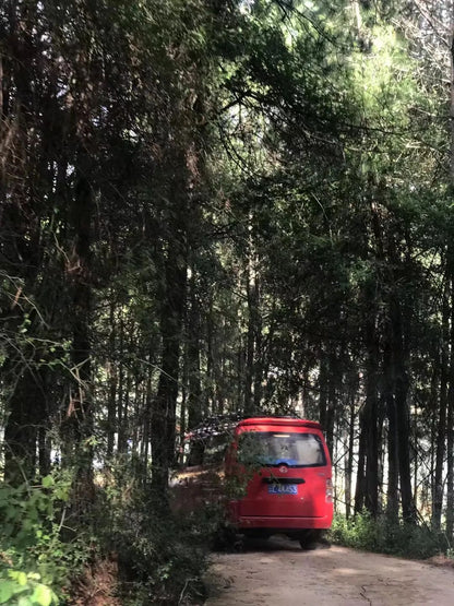 Acampada en la isla y en el bosque del lago | Embalse de Jizi