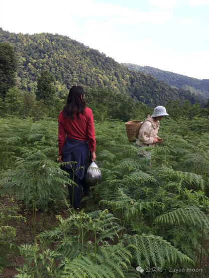 西坡深山里“亲戚”家的一天 | 苍山的另一边