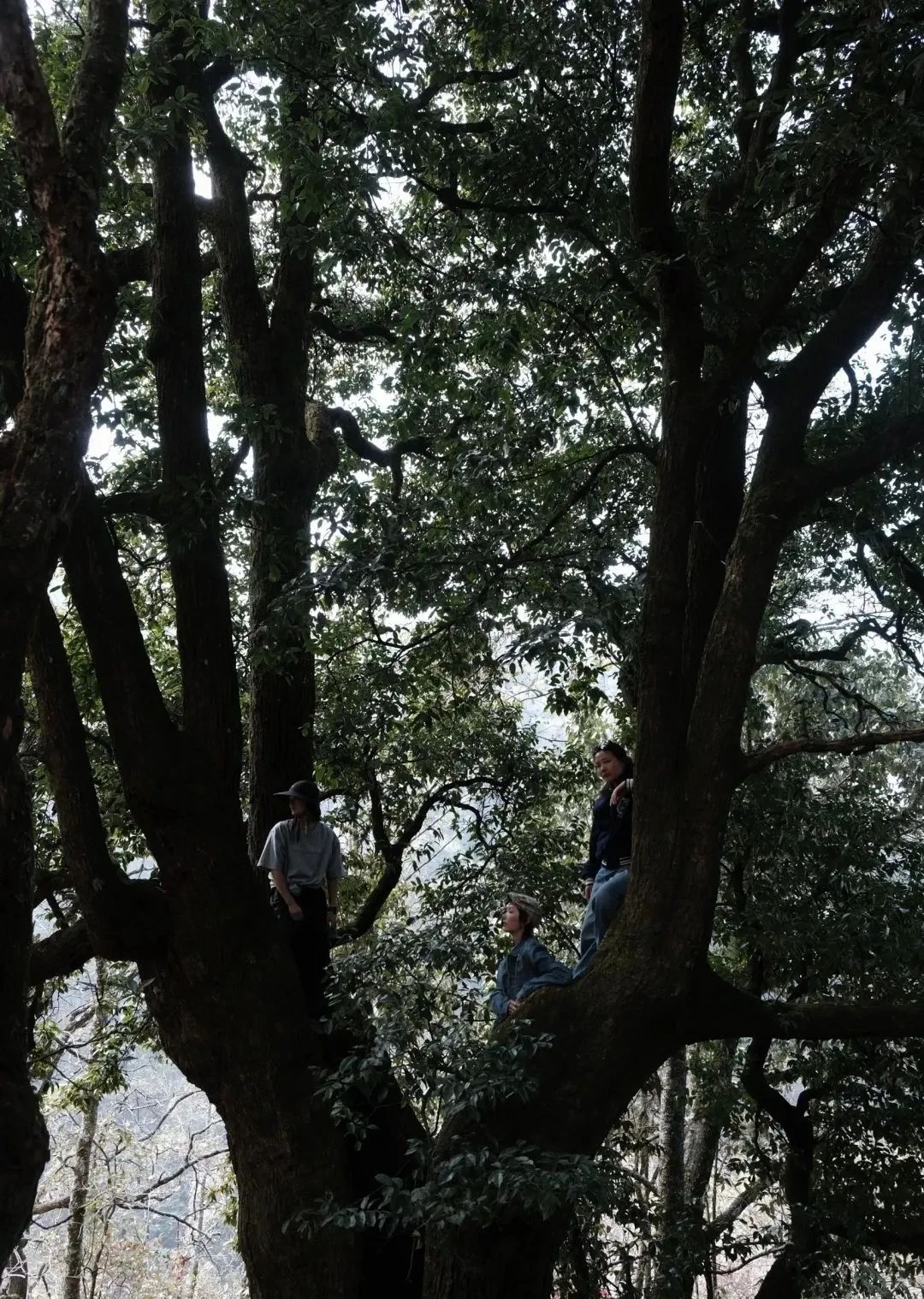 Un día en la casa de un &quot;pariente&quot; en las profundas montañas de Xipo | El otro lado de la montaña Cangshan