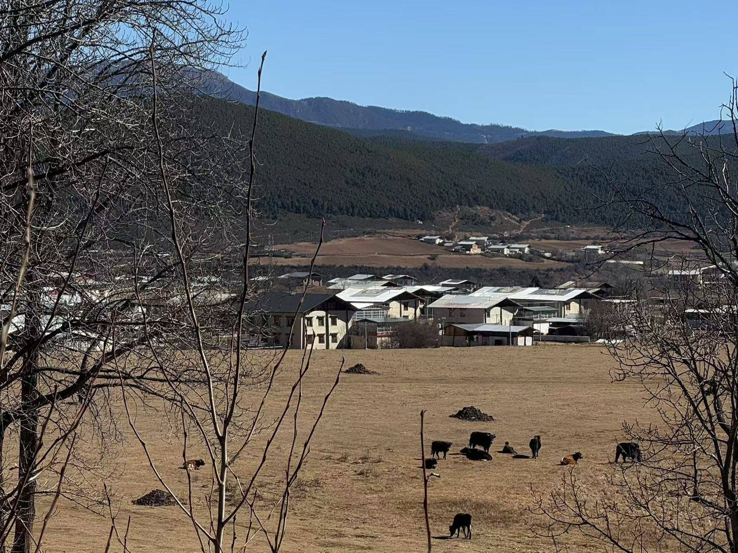 3 天的旅程| 香格里拉和沙溪古鎮