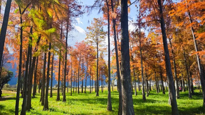 ปั่นจักรยานรอบเมืองต้าหลี่ | สำรวจหมู่บ้านและผู้คนบริเวณเชิงเขาชางซาน