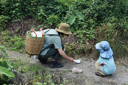 เดินป่าชมธรรมชาติแบบสั้นๆ | นก พืช และแมลง