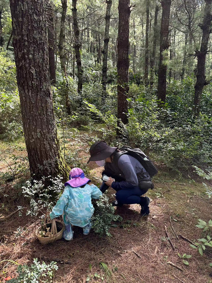 Mini recogida de piñones y recolección de setas en el bosque