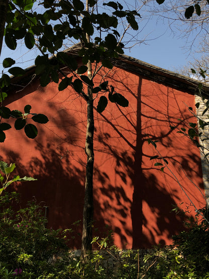 去无为寺吃斋饭｜苍山野道徒步捡松果