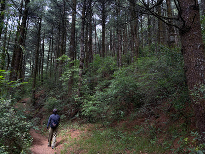 徒歩で梅渓峡谷へ | 寺院、鉱山、玉帯路の端（中距離） 