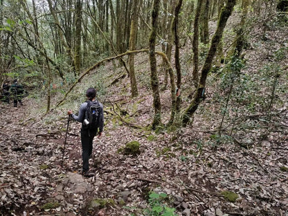 Wanderung zum Berg Jizu | Ein buddhistischer Pilgerweg (mittlere Distanz)