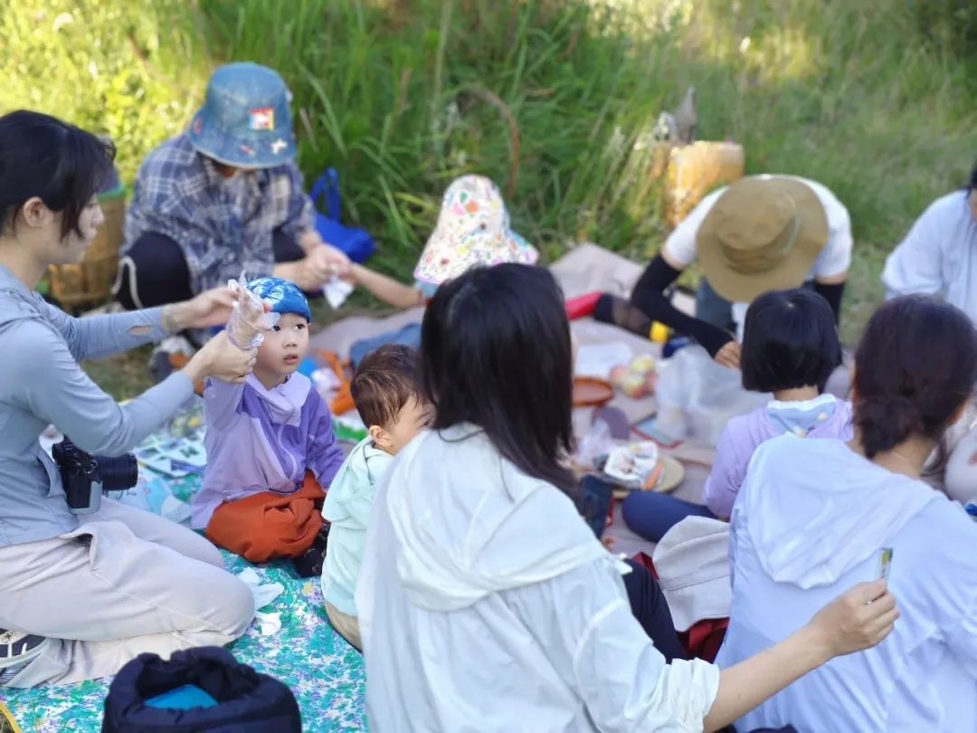 자연 관찰 미니 하이킹 | 새, 식물 및 곤충