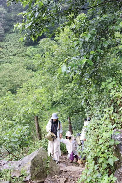 (Junio-noviembre) Campamento en la ladera oeste de la montaña Cangshan