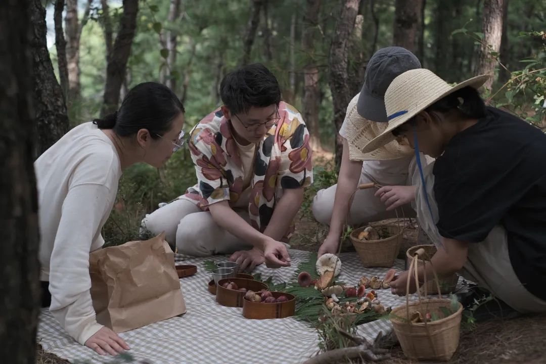 (Junio-Octubre) Subir a la montaña a recoger setas | Comer setas en las casas de los agricultores