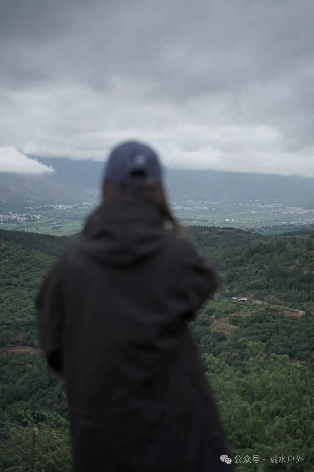 (Juin et juillet) Cueillette de prunes en montagne | Brassage d'une bouteille de vin de prune verte 