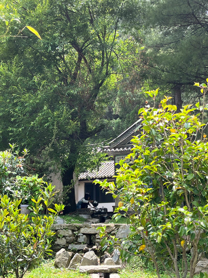 健行梅溪峽谷| 寺廟、礦場、玉帶路盡頭（中距離）