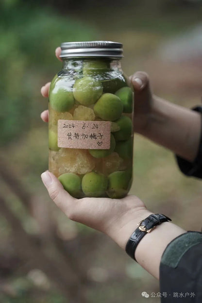 (Juin et juillet) Cueillette de prunes en montagne | Brassage d'une bouteille de vin de prune verte 