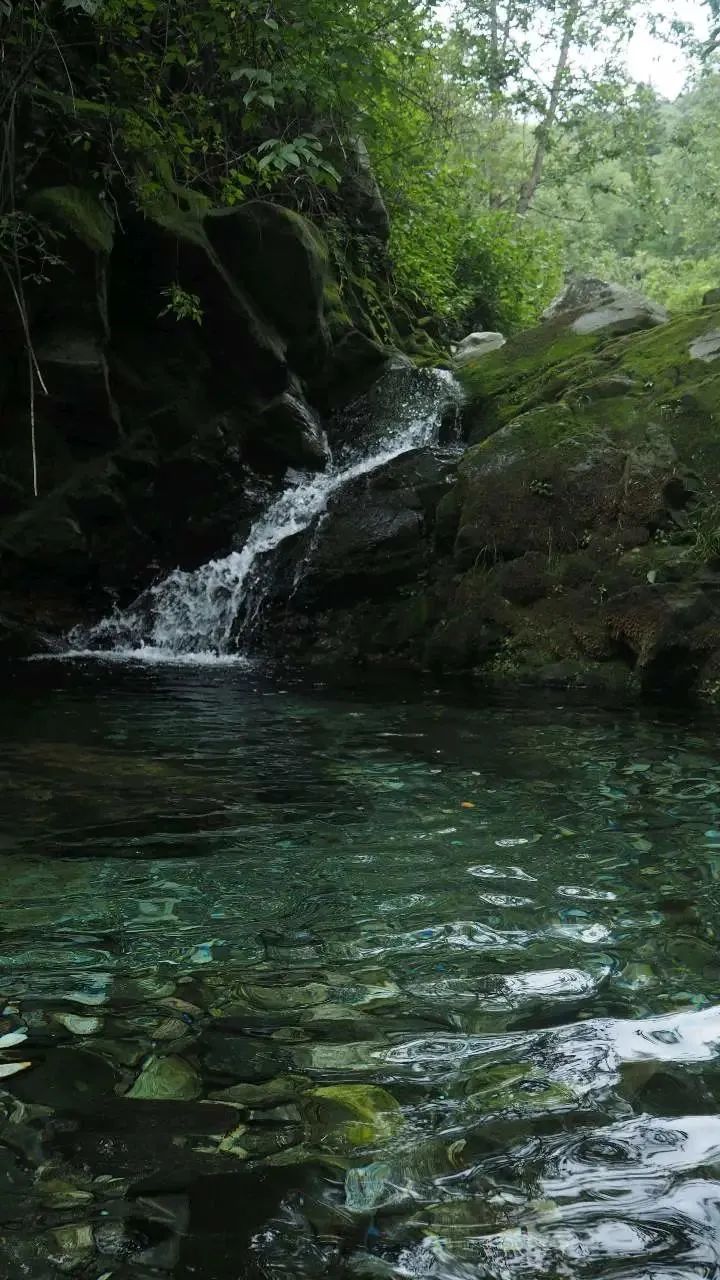 Caminata por el río en el arroyo para niños de 6 años en adelante