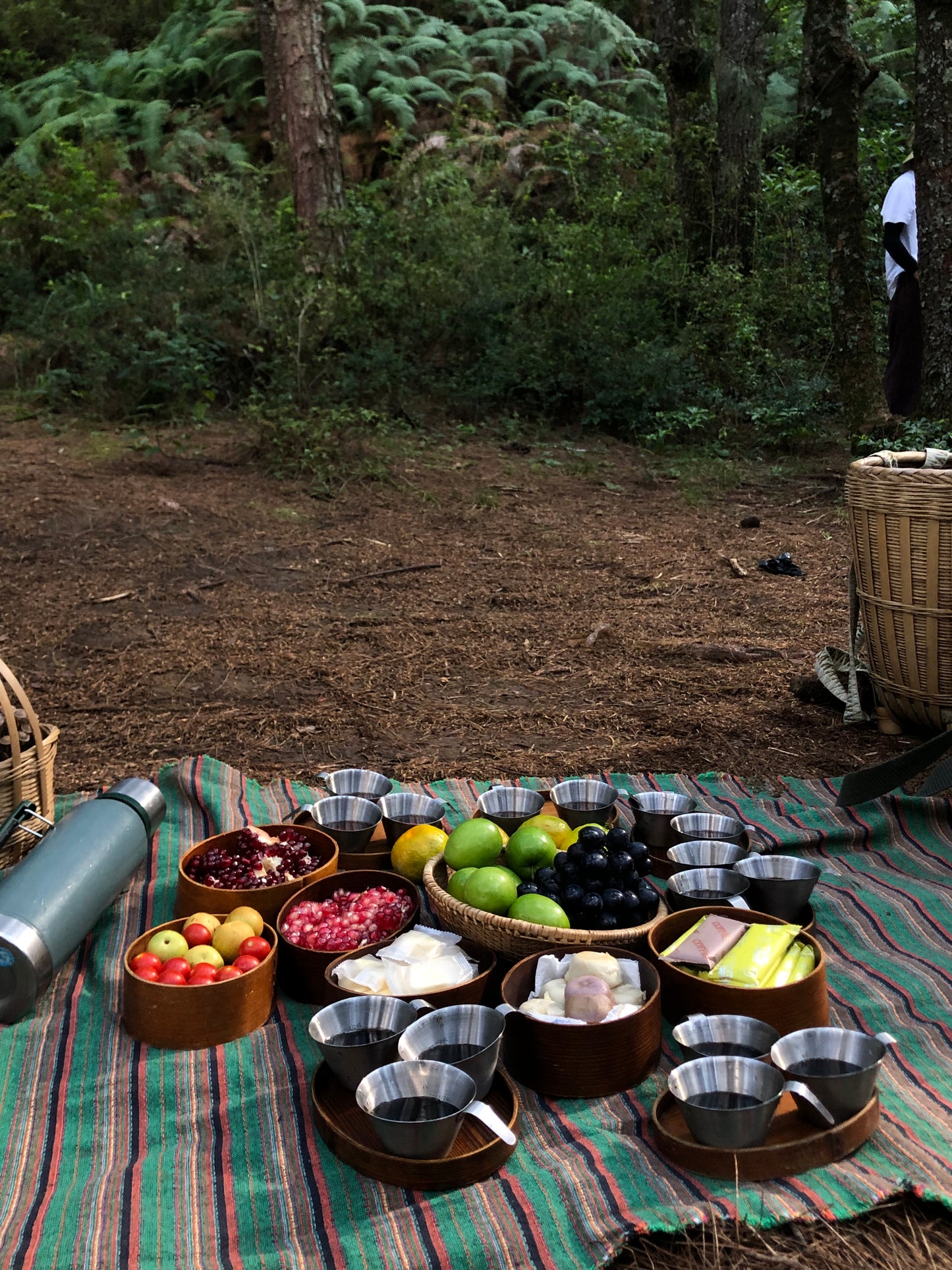 Mini recogida de piñones y recolección de setas en el bosque