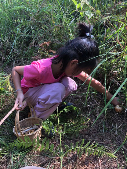Mini recogida de piñones y recolección de setas en el bosque