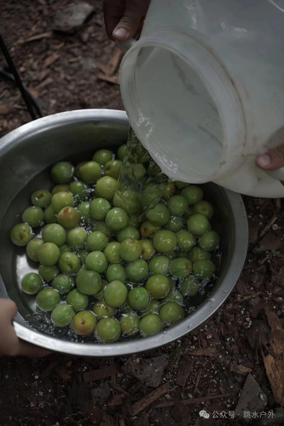 (Junio, julio) Recoger ciruelas en las montañas | Elaborar una botella de vino de ciruela verde