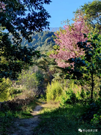 徒步到中和寺，並享用齋飯，穿越中和大峽谷（中距離）