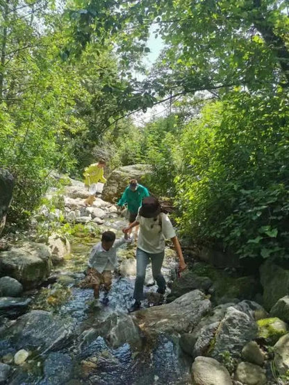 Caminata por el río en el arroyo para niños de 6 años en adelante