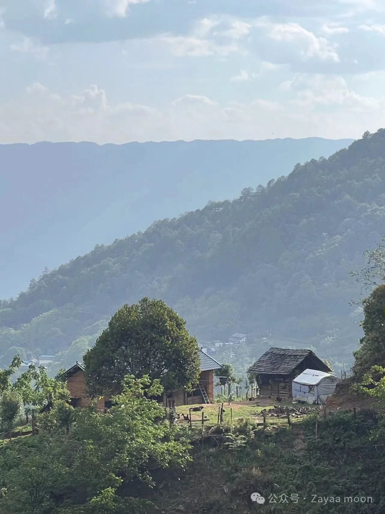 시포 깊은 산 속 &#39;친척&#39; 집에서 보낸 하루 | 창산의 저편