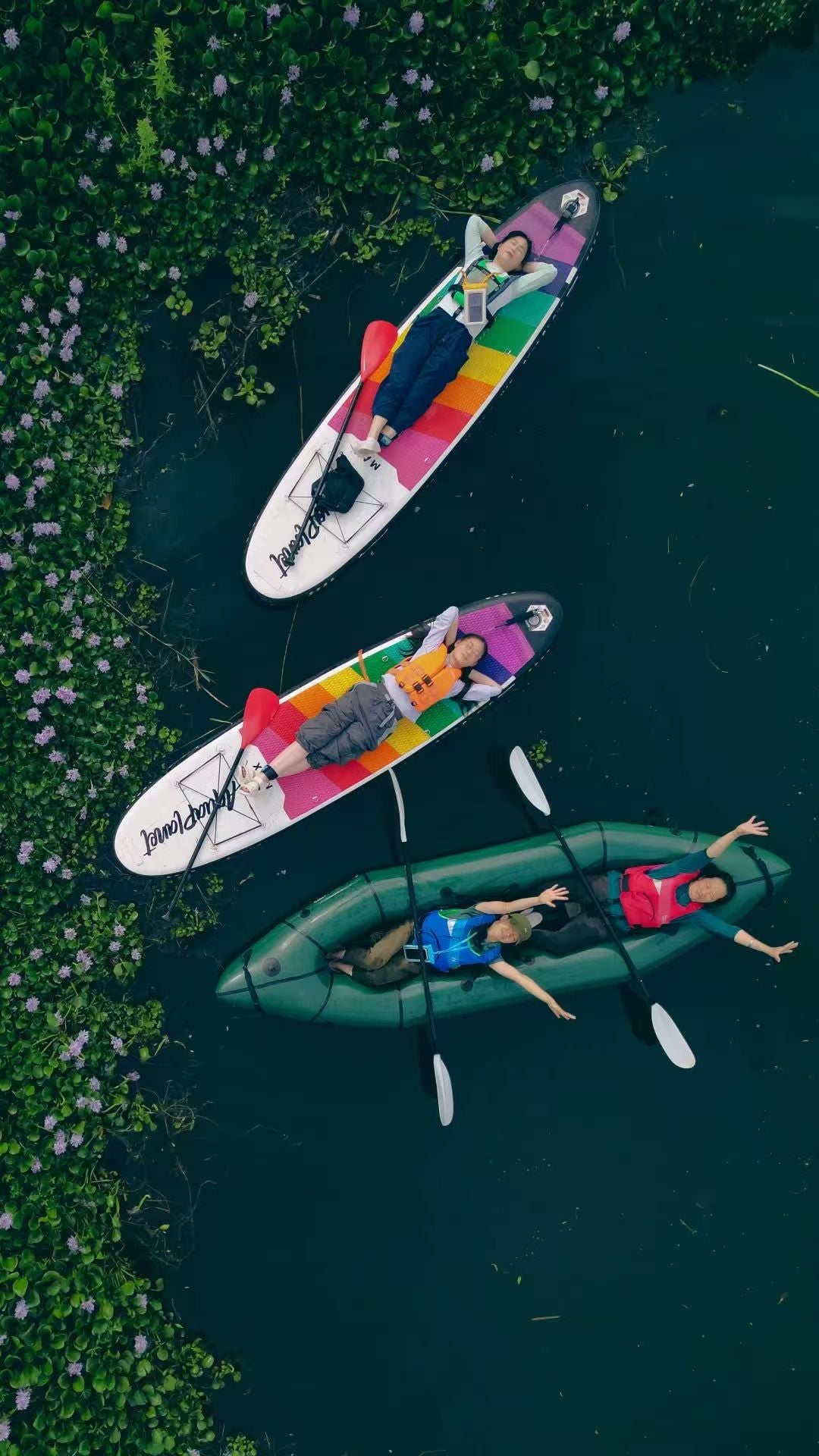 Paddle board | Ve al hermoso lago al pie de la montaña