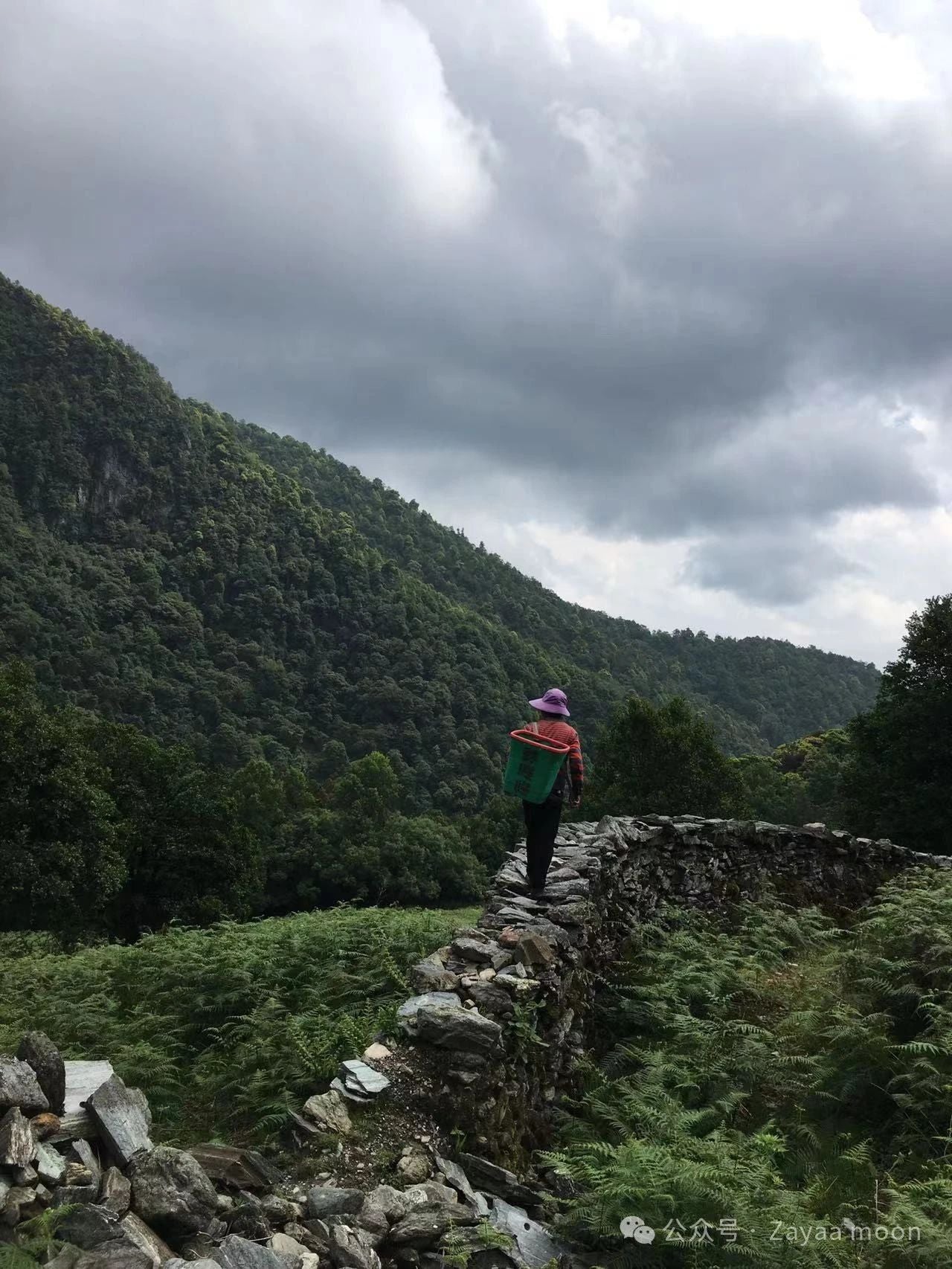 西坡深山裡「親戚」家的一天| 蒼山的另一邊