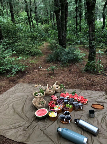 Mini recogida de piñones y recolección de setas en el bosque