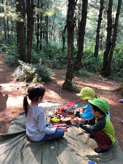Mini recogida de piñones y recolección de setas en el bosque