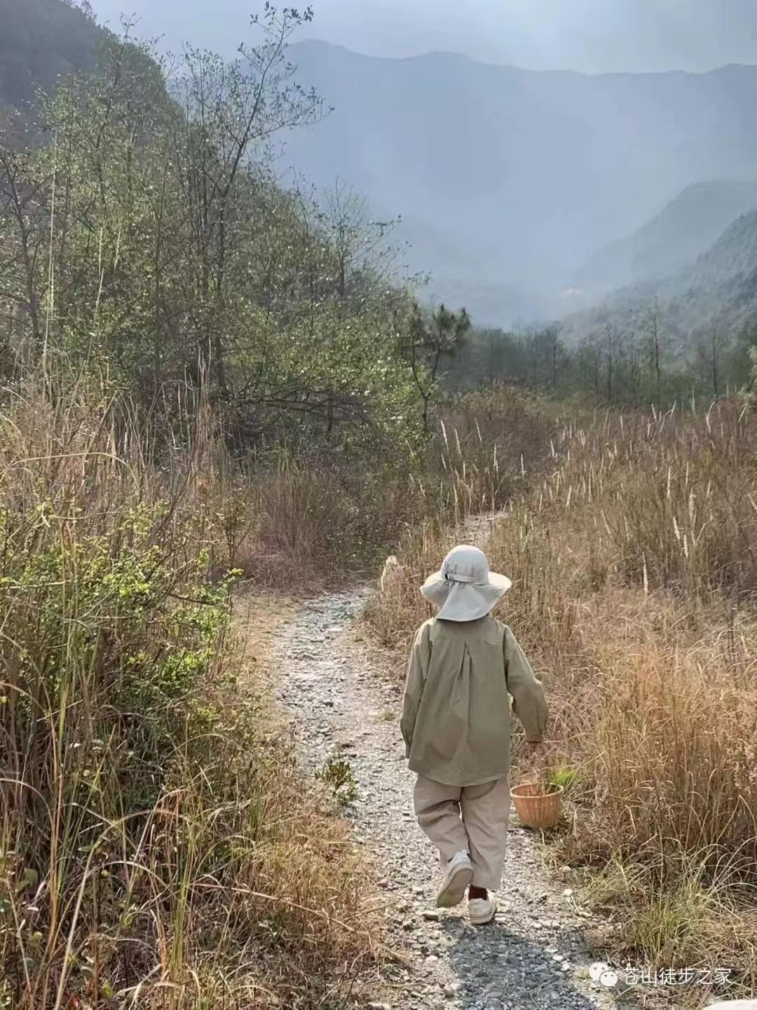 Mini geht in die Berge wandern, um Früchte zu pflücken | Färben am Bach