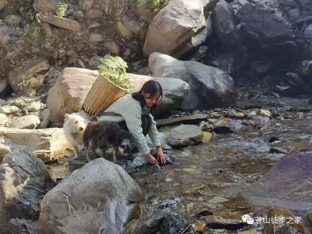 Mini va de excursión a la montaña a recoger frutas | Tintura junto al arroyo