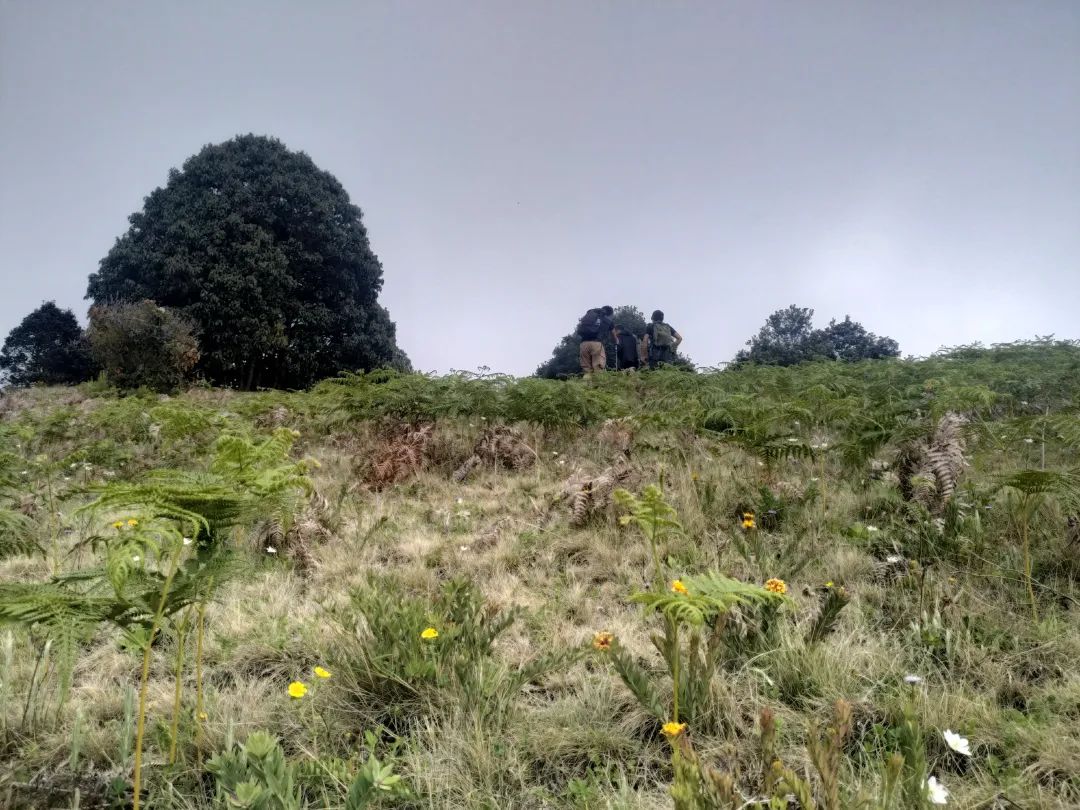 Wanderung zum Berg Jizu | Ein buddhistischer Pilgerweg (mittlere Distanz)