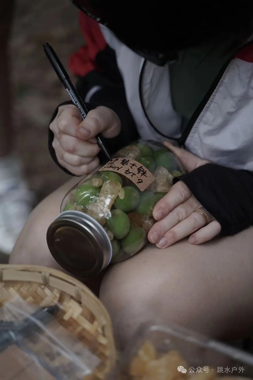 (Juin et juillet) Cueillette de prunes en montagne | Brassage d'une bouteille de vin de prune verte 