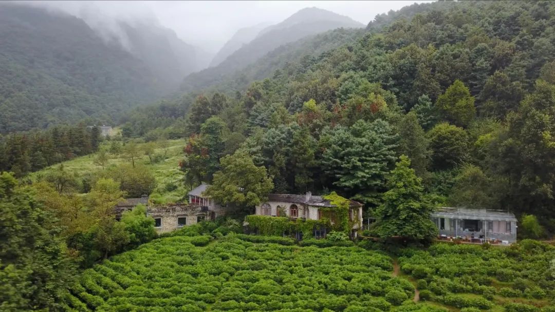 簡輝「莫催茶室」