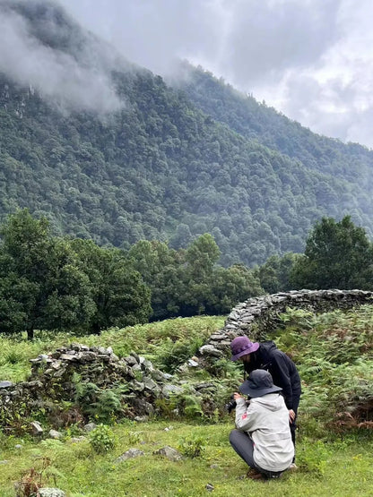 (Junio-noviembre) Campamento en la ladera oeste de la montaña Cangshan