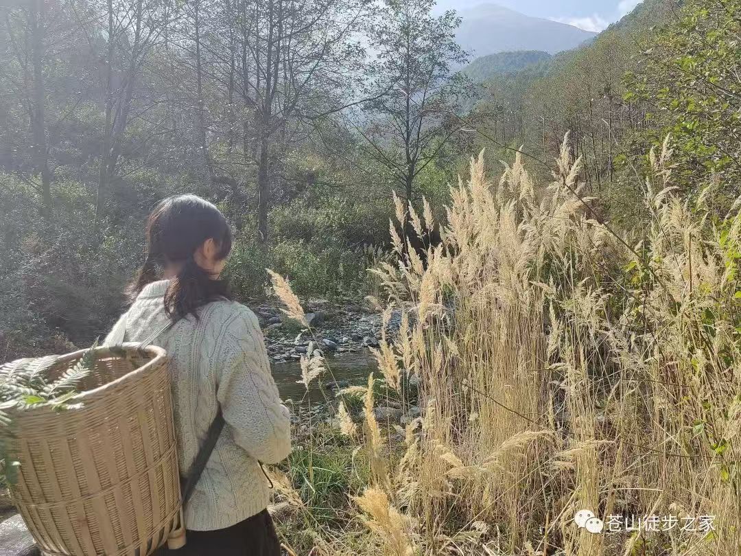 Mini va de excursión a la montaña a recoger frutas | Tintura junto al arroyo