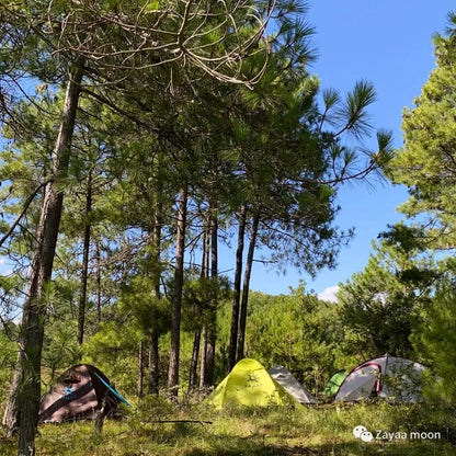 Acampada en la isla y en el bosque del lago | Embalse de Jizi