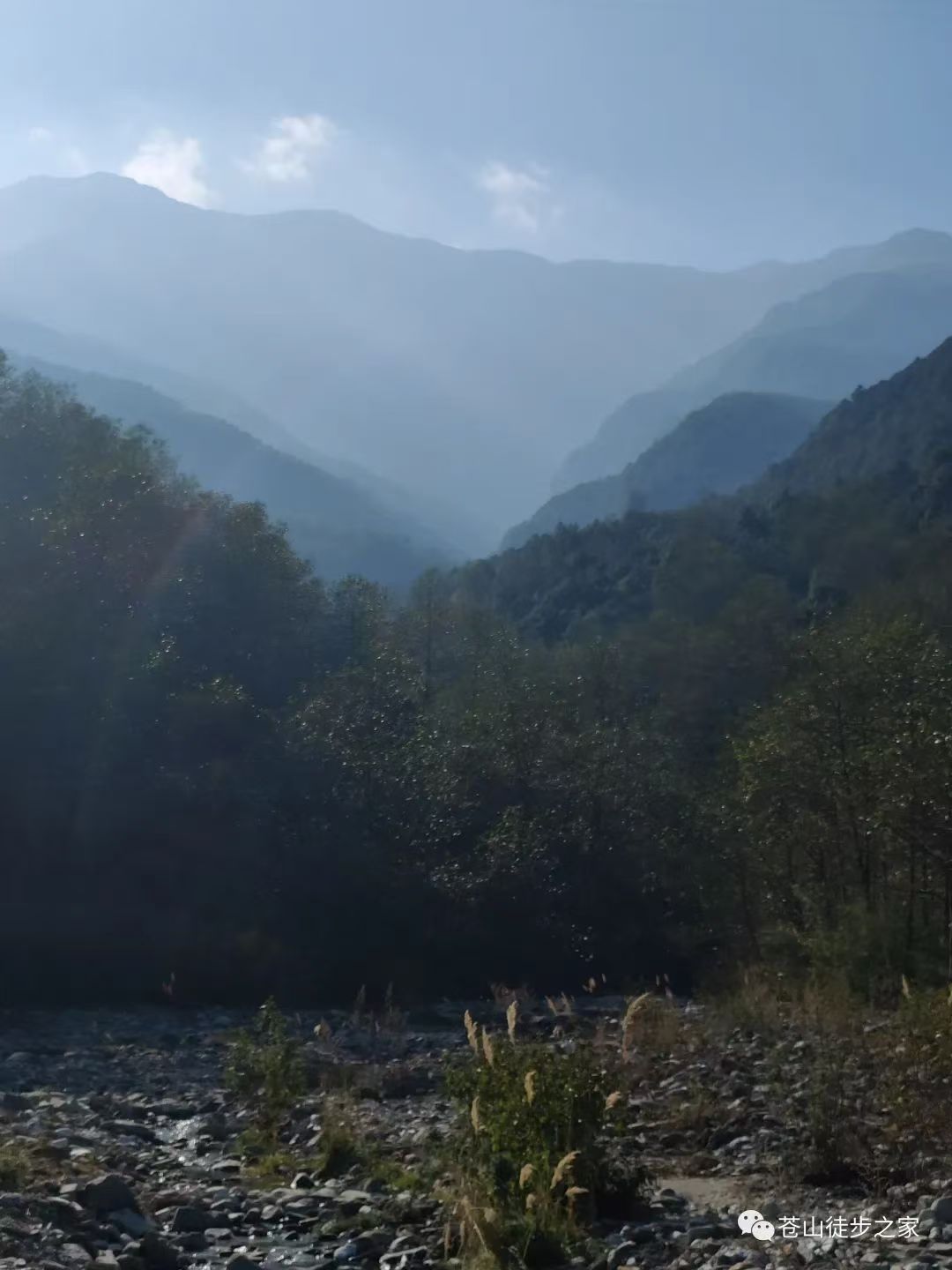 Mini geht in die Berge wandern, um Früchte zu pflücken | Färben am Bach